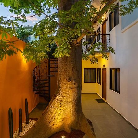 Casa Madero Hotel ラパス エクステリア 写真